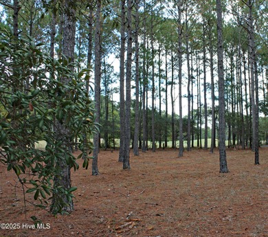 Incredible Golf Course Homesite on the Green, on the 7th hole on on Ocean Ridge Plantation in North Carolina - for sale on GolfHomes.com, golf home, golf lot