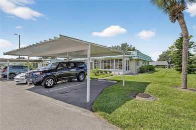 Beautifully Renovated Condo in Kings Point - Florida's Premier on Kings Point Executive Golf Course in Florida - for sale on GolfHomes.com, golf home, golf lot