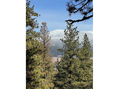 Top of the World views of scenic Meadows Valley, perched on the on Meadowcreek Golf Resort in Idaho - for sale on GolfHomes.com, golf home, golf lot