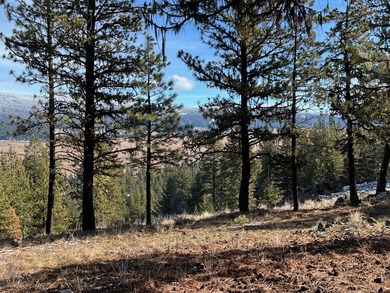 Top of the World views of scenic Meadows Valley, perched on the on Meadowcreek Golf Resort in Idaho - for sale on GolfHomes.com, golf home, golf lot