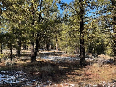 Top of the World views of scenic Meadows Valley, perched on the on Meadowcreek Golf Resort in Idaho - for sale on GolfHomes.com, golf home, golf lot
