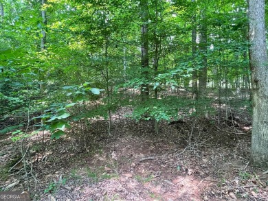 Build your dream home on this perfectly positioned lot along the on The Trail At Chickasaw Pointe in South Carolina - for sale on GolfHomes.com, golf home, golf lot