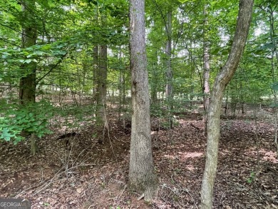 Build your dream home on this perfectly positioned lot along the on The Trail At Chickasaw Pointe in South Carolina - for sale on GolfHomes.com, golf home, golf lot