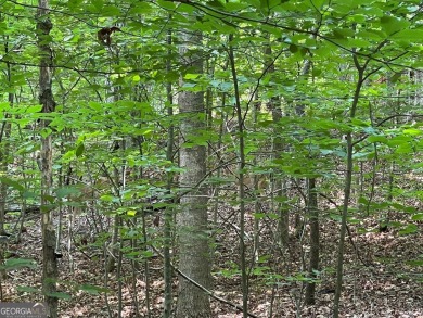 Build your dream home on this perfectly positioned lot along the on The Trail At Chickasaw Pointe in South Carolina - for sale on GolfHomes.com, golf home, golf lot