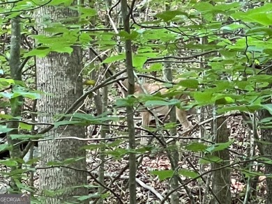 Build your dream home on this perfectly positioned lot along the on The Trail At Chickasaw Pointe in South Carolina - for sale on GolfHomes.com, golf home, golf lot