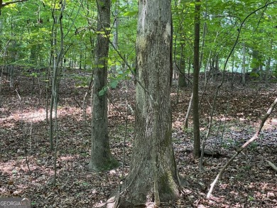 Build your dream home on this perfectly positioned lot along the on The Trail At Chickasaw Pointe in South Carolina - for sale on GolfHomes.com, golf home, golf lot