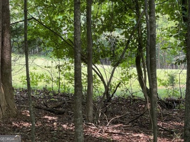Build your dream home on this perfectly positioned lot along the on The Trail At Chickasaw Pointe in South Carolina - for sale on GolfHomes.com, golf home, golf lot