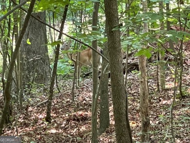 Build your dream home on this perfectly positioned lot along the on The Trail At Chickasaw Pointe in South Carolina - for sale on GolfHomes.com, golf home, golf lot