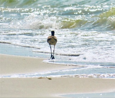 WATERFRONT ISLAND DREAM IN AN AMAZING LOCATION! Home has approx on Isle Dauphine Club Golf Course in AL - for sale on GolfHomes.com, golf home, golf lot