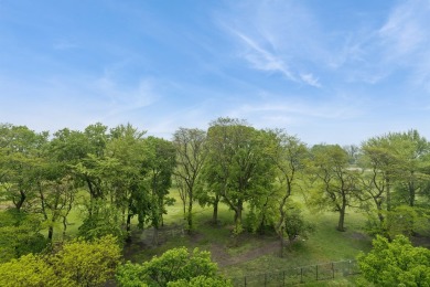 Experience vintage charm and thoughtful updates in this spacious on Jackson Park Golf Course in Illinois - for sale on GolfHomes.com, golf home, golf lot