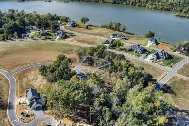 Don't miss the chance to make this incredible amenity focused on Tennessee National Golf Club in Tennessee - for sale on GolfHomes.com, golf home, golf lot