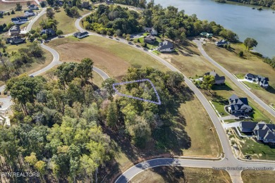 Don't miss the chance to make this incredible amenity focused on Tennessee National Golf Club in Tennessee - for sale on GolfHomes.com, golf home, golf lot
