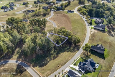 Don't miss the chance to make this incredible amenity focused on Tennessee National Golf Club in Tennessee - for sale on GolfHomes.com, golf home, golf lot
