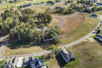 Don't miss the chance to make this incredible amenity focused on Tennessee National Golf Club in Tennessee - for sale on GolfHomes.com, golf home, golf lot