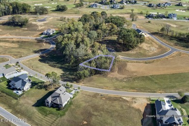 Don't miss the chance to make this incredible amenity focused on Tennessee National Golf Club in Tennessee - for sale on GolfHomes.com, golf home, golf lot