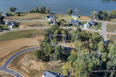 Don't miss the chance to make this incredible amenity focused on Tennessee National Golf Club in Tennessee - for sale on GolfHomes.com, golf home, golf lot