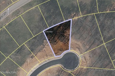 Don't miss the chance to make this incredible amenity focused on Tennessee National Golf Club in Tennessee - for sale on GolfHomes.com, golf home, golf lot