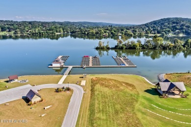 Don't miss the chance to make this incredible amenity focused on Tennessee National Golf Club in Tennessee - for sale on GolfHomes.com, golf home, golf lot