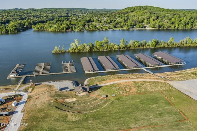 Don't miss the chance to make this incredible amenity focused on Tennessee National Golf Club in Tennessee - for sale on GolfHomes.com, golf home, golf lot