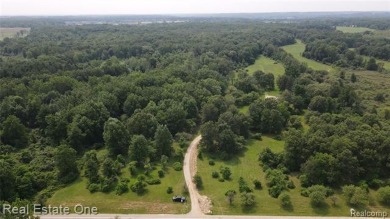 Exceptional 40-acre Site! Best of its kind in Southeast on The Myth Golf and Banquet - Beaver Creek Links in Michigan - for sale on GolfHomes.com, golf home, golf lot