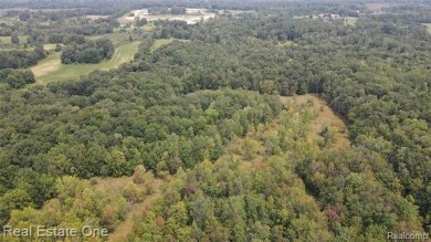 Exceptional 40-acre Site! Best of its kind in Southeast on The Myth Golf and Banquet - Beaver Creek Links in Michigan - for sale on GolfHomes.com, golf home, golf lot