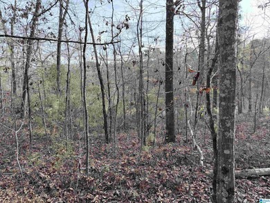 An excellent place to build your dream home with stunning summer on Alpine Bay Resort in Alabama - for sale on GolfHomes.com, golf home, golf lot