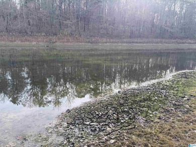 An excellent place to build your dream home with stunning summer on Alpine Bay Resort in Alabama - for sale on GolfHomes.com, golf home, golf lot