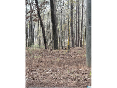 Great building lot in Alpine. Very close to Logan Martin, Alpine on Alpine Bay Resort in Alabama - for sale on GolfHomes.com, golf home, golf lot