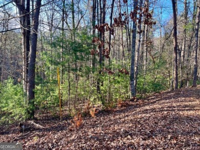 **Prime Building Lot in Buckhorn Estates - Your Mountain Escape on White Path Golf Club in Georgia - for sale on GolfHomes.com, golf home, golf lot