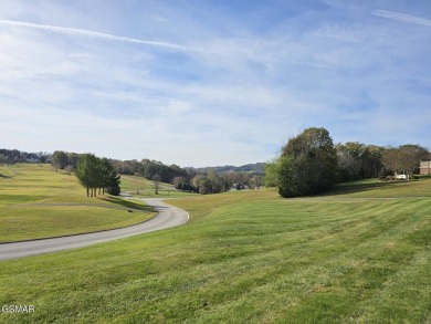 Be ready to be wowed in this stunning Rarity Bay community! Here on Rarity Bay Country Club - Loudon in Tennessee - for sale on GolfHomes.com, golf home, golf lot