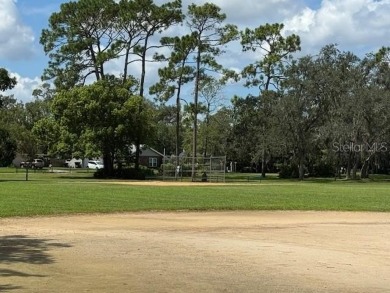 This fantastic split plan 3 bedroom, 3 bathroom Wekiva pool home on Wekiva Golf Club in Florida - for sale on GolfHomes.com, golf home, golf lot