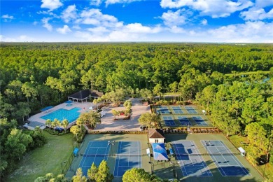 Welcome to this beautifully maintained Arthur Rutenberg on Westchase Golf Club in Florida - for sale on GolfHomes.com, golf home, golf lot
