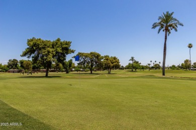 Fantastic opportunity in the desirable Palm Grand community of on Sun City-Willow Creek / Willow Brook  in Arizona - for sale on GolfHomes.com, golf home, golf lot