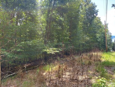 Your chance to own some beautiful, wooded property in the on Baneberry Golf and Resort Club in Tennessee - for sale on GolfHomes.com, golf home, golf lot