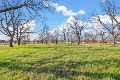 Rare Opportunity in Pecan Plantation's Orchards!

Don't miss on Nutcracker Golf Club in Texas - for sale on GolfHomes.com, golf home, golf lot