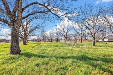 Rare Opportunity in Pecan Plantation's Orchards!

Don't miss on Nutcracker Golf Club in Texas - for sale on GolfHomes.com, golf home, golf lot