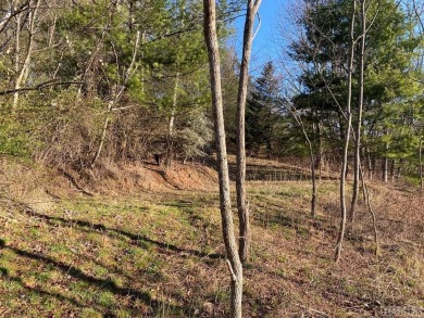 Great building lot over half an acre overlooking the 15th Green on Trillium Links in North Carolina - for sale on GolfHomes.com, golf home, golf lot