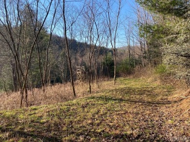 Great building lot over half an acre overlooking the 15th Green on Trillium Links in North Carolina - for sale on GolfHomes.com, golf home, golf lot