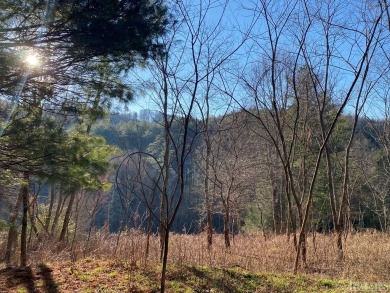 Great building lot over half an acre overlooking the 15th Green on Trillium Links in North Carolina - for sale on GolfHomes.com, golf home, golf lot