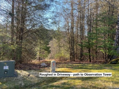 Great building lot over half an acre overlooking the 15th Green on Trillium Links in North Carolina - for sale on GolfHomes.com, golf home, golf lot