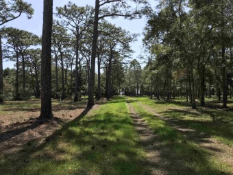 Perfect site for new home construction.  Nice square 1.72 acre on St. James Bay in Florida - for sale on GolfHomes.com, golf home, golf lot