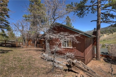 For more information on this home please visit   or call  to set on Big Bear Mountain Ski and Golf Resort in California - for sale on GolfHomes.com, golf home, golf lot