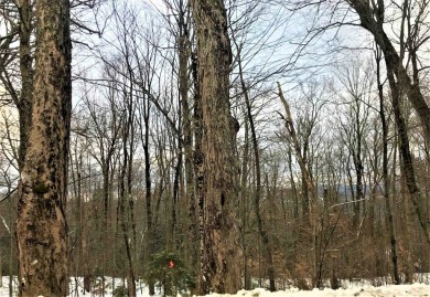 One of a handful of single lots remaining on the Hill! Septic on Hermitage Club Golf Course in Vermont - for sale on GolfHomes.com, golf home, golf lot