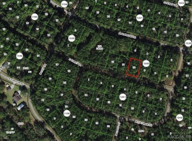 Oversized building lot over 1/3 acre, located in the booming on Citrus Springs Country Club in Florida - for sale on GolfHomes.com, golf home, golf lot