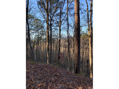 Very Rare 3.30 Acre Lot with Beautiful Views! If you are looking on Cortez Golf Course in Arkansas - for sale on GolfHomes.com, golf home, golf lot