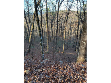 Very Rare 3.30 Acre Lot with Beautiful Views! If you are looking on Cortez Golf Course in Arkansas - for sale on GolfHomes.com, golf home, golf lot