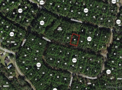 Oversized building lot over 1/3 acre, located in the booming on Citrus Springs Country Club in Florida - for sale on GolfHomes.com, golf home, golf lot