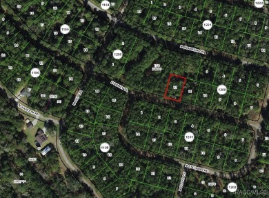 Oversized building lot over 1/3 acre, located in the booming on Citrus Springs Country Club in Florida - for sale on GolfHomes.com, golf home, golf lot