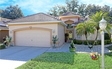 ENJOY THE REMARKABLE TERRA VISTA LIFESTYLE LOADED WITH THE MOST on Skyview At Terra Vista Golf and Country Club in Florida - for sale on GolfHomes.com, golf home, golf lot