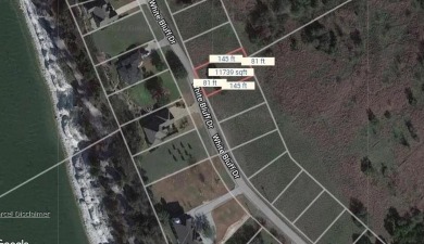 Discover the perfect canvas for your dream home or retreat with on White Bluff Resort - Old Course in Texas - for sale on GolfHomes.com, golf home, golf lot